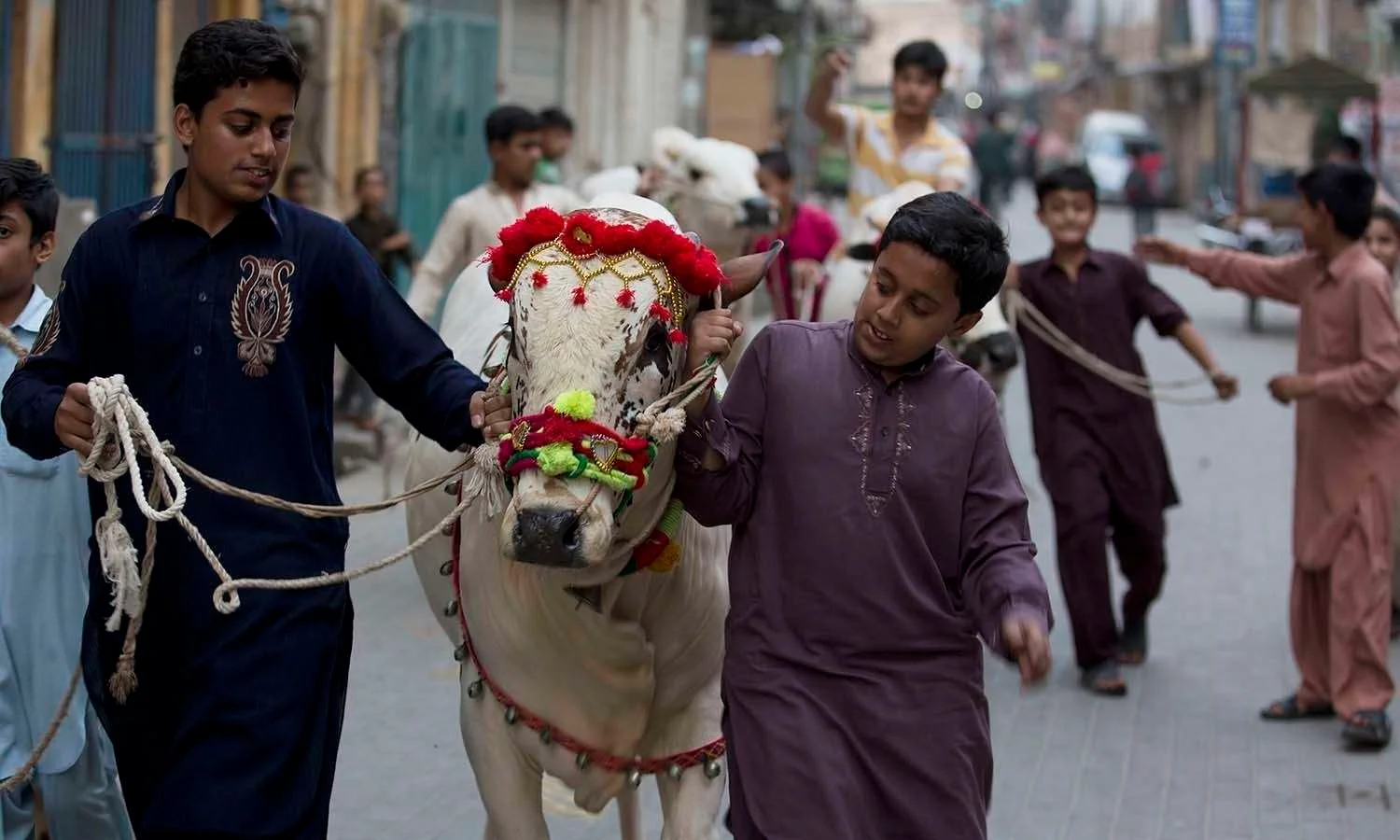 A man leads a cow down the street during the Eid ul-Adha celebration, showcasing a traditional festive atmosphere.